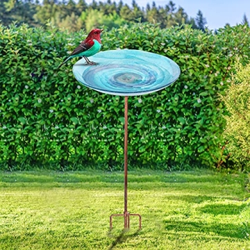 Beautiful VCUTEKA Glass Bird Bath for Your Garden
