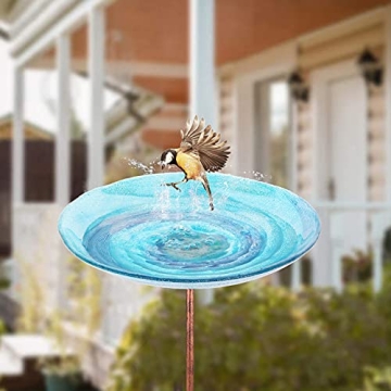 Beautiful VCUTEKA Glass Bird Bath for Your Garden
