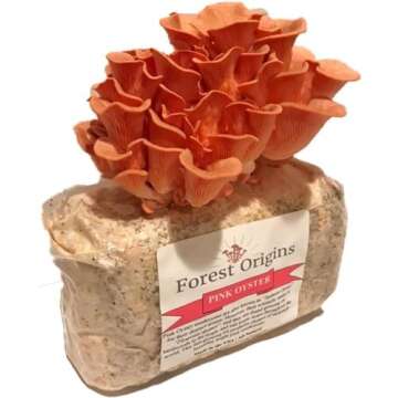 Forest Origins Pink Oyster Mushroom Grow Kit, Beginner Friendly & Easy to Use, Grows in 10 Days | Ha...