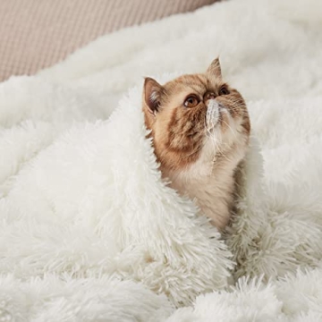 Bedsure Fluffy Cream Throw Blanket for Cozy Comfort