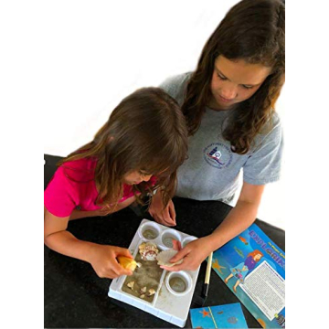 Magic School Bus Ocean Kit - Hands-On Learning Adventure