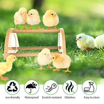 Ensayeer Mini Chick Perch with Mirror, Strong Bamboo Roosting Bar for coop and brooder, Training Perch for Baby Chicks, El Pollitos, La Pollita, Easy to Assemble and Clean, Fun Toys for Chick