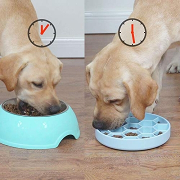 AMOGATO Dog Slow Feeder Bowl - Interactive and Non-Skid Design
