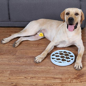 AMOGATO Dog Slow Feeder Bowl - Interactive and Non-Skid Design
