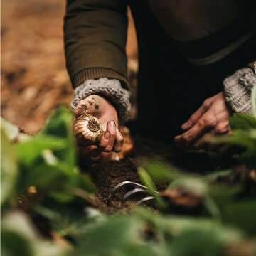 Fiskars Xact Hand Rake, Heavy Duty Gardening Hand Tool with Ergonomic Handle and Hanging Hole for Storage, Stainless Steel Head and Tines, Perfect for Maintaining a Raised Garden Bed