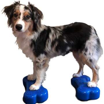 FitPAWS Mini K9FITbone Balance Bones for Dogs - Agility Training Set with Pump