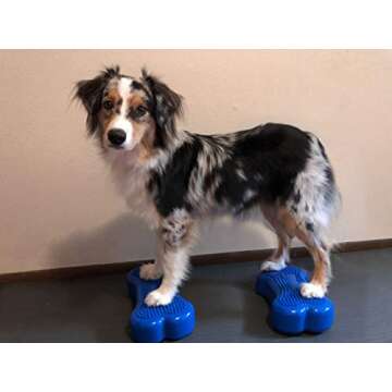 FitPAWS Mini K9FITbone Balance Bones (2 Pack)