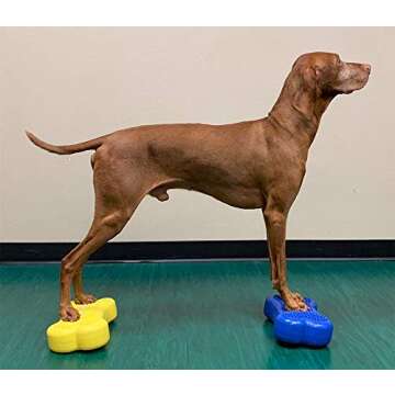 FitPAWS Mini K9FITbone Balance Bones (2 Pack)