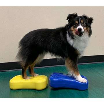 FitPAWS Mini K9FITbone Balance Bones (2 Pack)