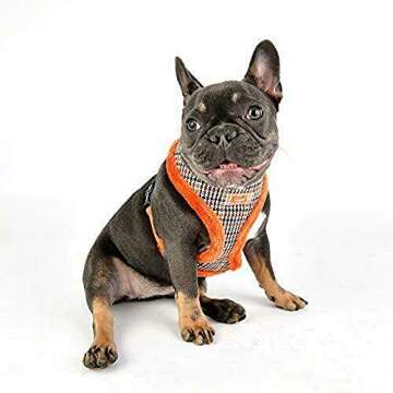 Puppia Auden Harness A - Orange - M