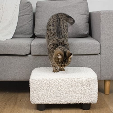 Stylish CAROLMADE Small Foot Stool Ottoman for Comfort