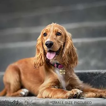 GoTags Personalized Brass Pet ID Tags for Dogs and Cats