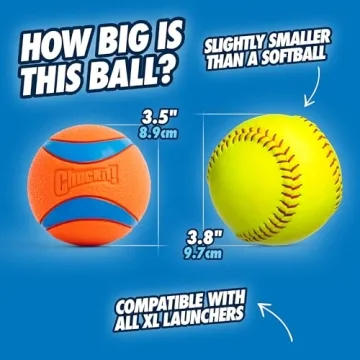 Durable Fetch Toy for Large Dogs - Chuckit! Ultra Ball