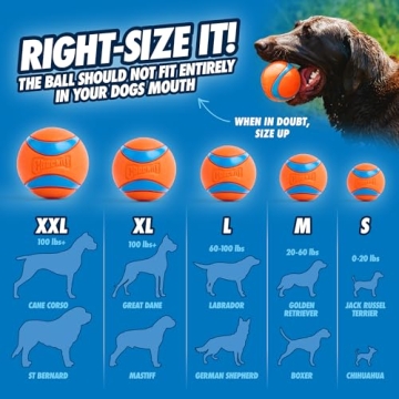 Durable Fetch Toy for Large Dogs - Chuckit! Ultra Ball