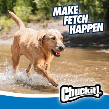 Durable Fetch Toy for Large Dogs - Chuckit! Ultra Ball