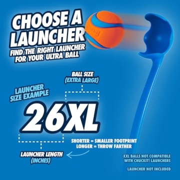Durable Fetch Toy for Large Dogs - Chuckit! Ultra Ball
