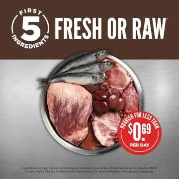 ORIJEN Regional RED Dry Cat Food, Grain Free Cat Food for All Life Stages, with WholePrey Ingredients, 4lb