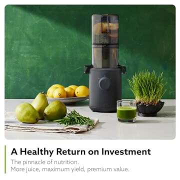 Hurom H310A Personal Slow Juicer for Healthy Living