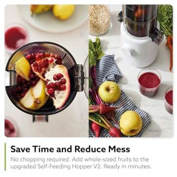 Hurom H310A Personal Slow Juicer for Healthy Living