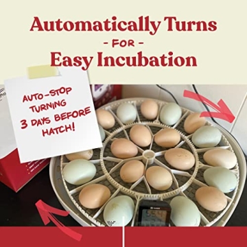 Nurture Right Egg Incubator - Automatic Turner & 360 View
