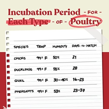 Nurture Right Egg Incubator - Automatic Turner & 360 View