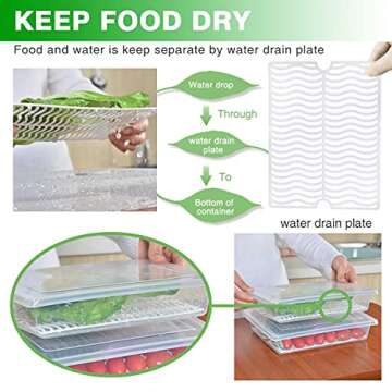 SILIVO Fridge Produce Saver Containers (3 Pack) - 2.5L Drain Tray Keeps Veggies, Fruits, Lettuce Fresh