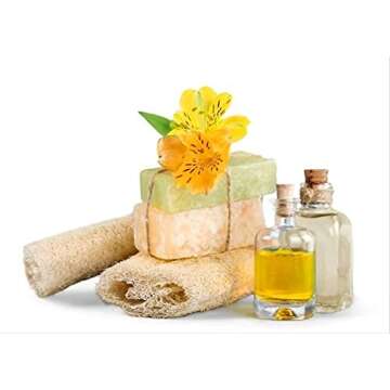 Starwest Organic Nettle Leaf Tea for Wellness