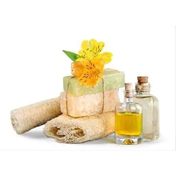 Starwest Organic Nettle Leaf Tea for Wellness