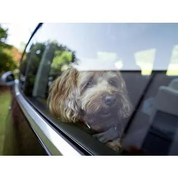 Snoozer Lookout I Dog Booster Seat for Comfortable Travel