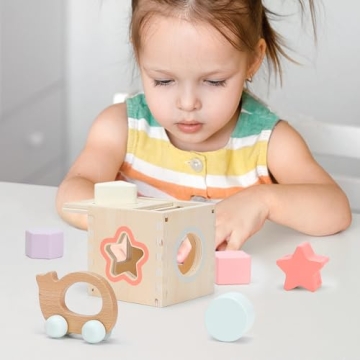 Pillowhale 4-in-1 Wooden Toddler Toys for Educational Play