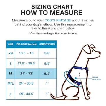 Blue-9 Buckle-Neck Balance Harness, Fully Customizable Fit No-Pull Harness, Ideal for Dog Training a...