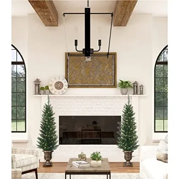 Set of 2 Lighted 4ft Cedar Topiary Trees for Home Decor