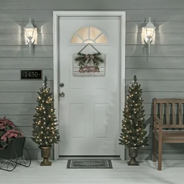 Set of 2 Lighted 4ft Cedar Topiary Trees for Home Decor