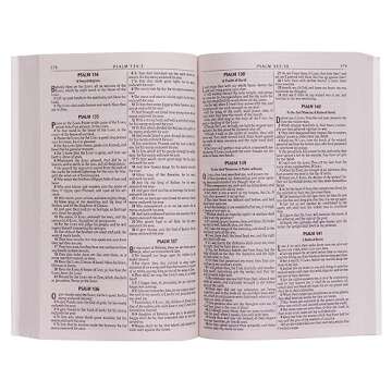 KJV Holy Bible, Outreach Bible - Softcover, King James Version, Silver Damask (KJV Outreach Editions)