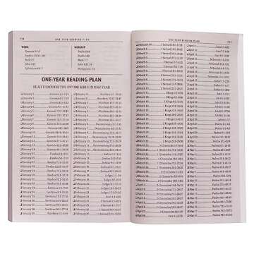 KJV Holy Bible, Outreach Bible - Softcover, King James Version, Silver Damask (KJV Outreach Editions)