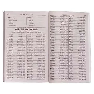 KJV Holy Bible, Outreach Edition - Softcover Silver Damask