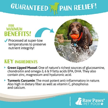 Natural Hip and Joint Supplement for Dogs & Cats