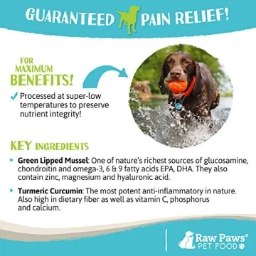 Natural Hip and Joint Supplement for Dogs & Cats