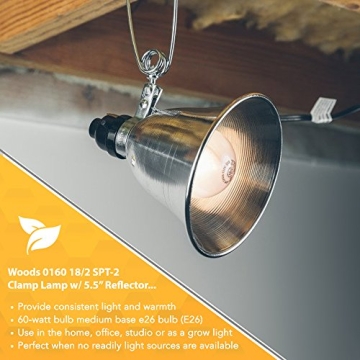 Woods 0160 18/2 SPT-2 Clamp Lamp with 5.5 Inch Reflector, 60 Watt, 6 Foot Cord