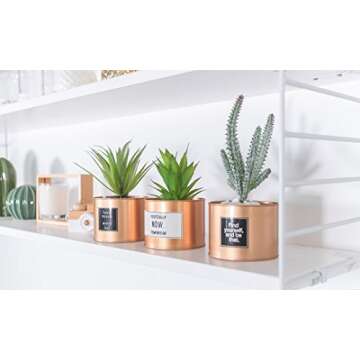 Opps Mini Artificial Plants Plastic Green Grass Cactus with Special Golden Can Pot Design for Home Décor – Set of 3