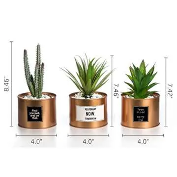 Opps Mini Artificial Plants Plastic Green Grass Cactus with Special Golden Can Pot Design for Home Décor – Set of 3