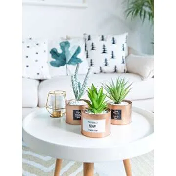 Opps Mini Artificial Plants Plastic Green Grass Cactus with Special Golden Can Pot Design for Home Décor – Set of 3