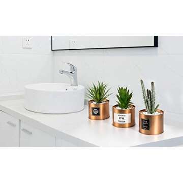 Opps Mini Artificial Plants Plastic Green Grass Cactus with Special Golden Can Pot Design for Home Décor – Set of 3