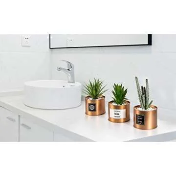 Opps Mini Artificial Plants Plastic Green Grass Cactus with Special Golden Can Pot Design for Home Décor – Set of 3