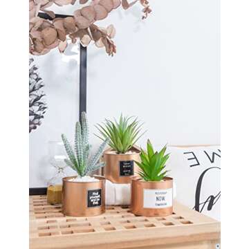 Opps Mini Artificial Plants Plastic Green Grass Cactus with Special Golden Can Pot Design for Home Décor – Set of 3