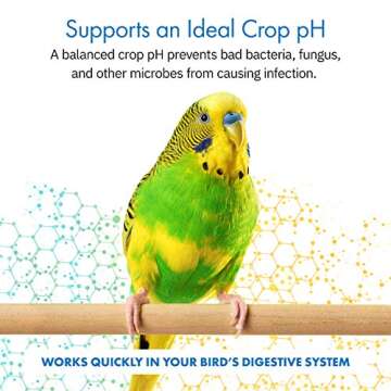 HealthyGut™ Avian Probiotics Dietary Supplement for Parrots, All-Natural Digestive System Formula ...