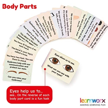 Toddler Flash Cards for Learning Letters Numbers Colors