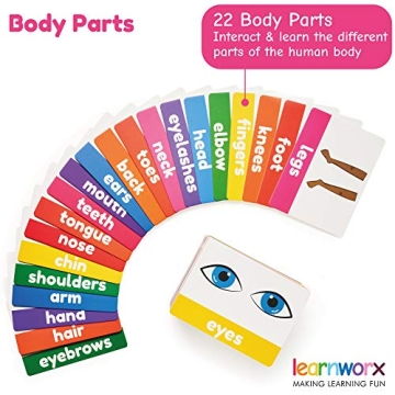 Toddler Flash Cards for Learning Letters Numbers Colors