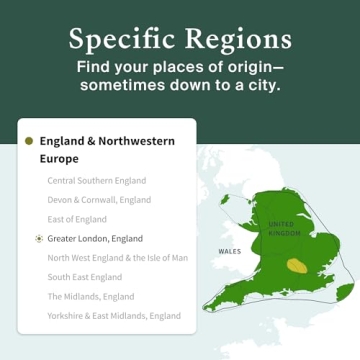 AncestryDNA Genetic Test Kit Ethnicity & Heritage Discovery