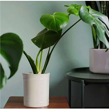 SZUAH Kitchen Ceramic Utensil Holder, Perfect Capacity Utensil Crock, for Kitchen Counter top & Dining Table (CREAM)…